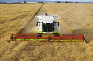 设施农业在中国发展之困 人为因素与基础设施的双重掣肘