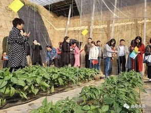 品味山东2018全国融媒体曲阜行 百誉农业、金秋菊展与孔府家酒