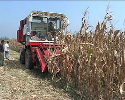 正阳县农业基础设施日臻完善，农业企业托管服务助推乡村振兴