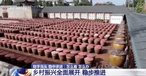 农业农村部部长提出三个重点 农业企业托管服务助力乡村振兴全面展开