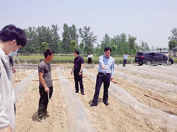 在希望的田野里收金揽银——西华县田口乡依托特色产业推动乡村振兴纪实