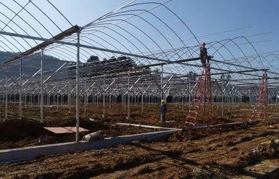 贵州黔西 智慧农业生态谷引领现代农业 托管服务助乡村振兴新篇章