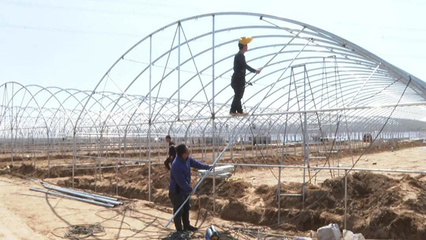 朔城区 夯实农业基础设施根基，谱写现代农业发展新篇章