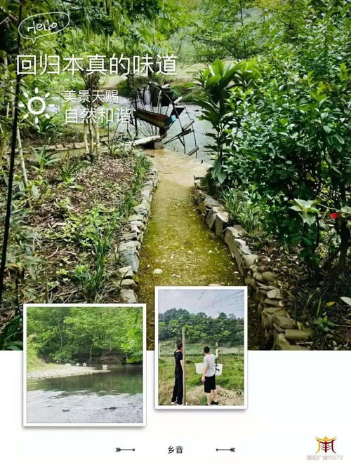 投资新机遇 广南乡村农业企业托管服务项目全解析